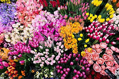 《命运2》泄露嫌疑人自称无辜 官方：证据确凿无法辩驳