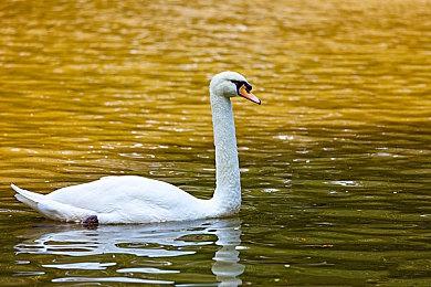 B站TGA 2023投票开启！快来评选你心中的年度最佳